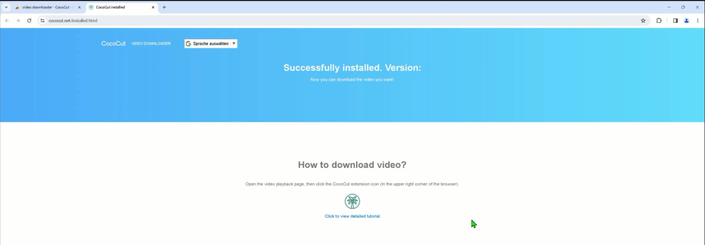successfully installed the cococut extension